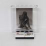 LEGO Rare The Art Of The Brick By Nathan Sawaya Lego Printed Museum Exhibit Limited Edition Promo Printed On A Lego Plastic Glass Window Head Image 2