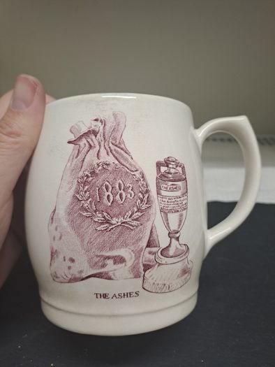 Vintage Sandland The Ashes 1883 Cricket Mug