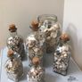 Sea shells in bottles Image 9