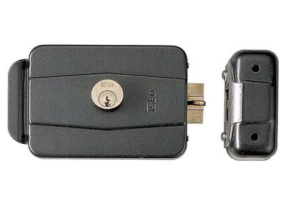 Iseo Electric Cylinder Lock 500-60 mm