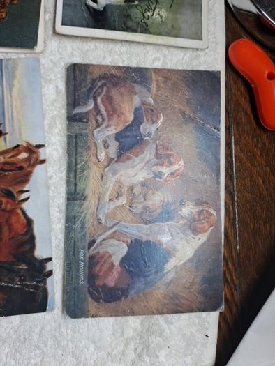 Historic Gore Booth postcards.