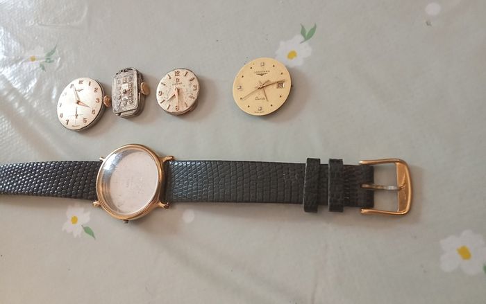 Ladies Longines watch case band and movements