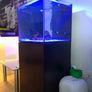 Fish tank Image 3