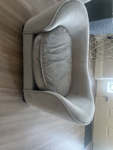 Small Dog Couch