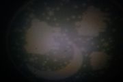 Night light projecting sheep/moon images