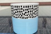 Pot