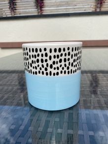 Pot
