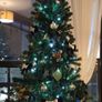 Christmas tree Image 2