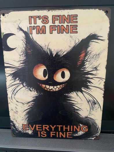 Cute funny Crazy Cat sign