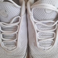 Trainers