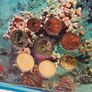 Ireland 2015 Beautiful Uncirculated Euro Coin Set An Island Nation Marine Flora and Fauna Image 5