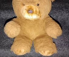 Vintage teddy bear