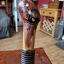 Walking stick Image 2