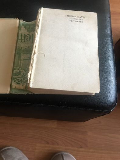 Thomas Davis - The Thinker and Teacher His writings in prose and Poetry.  Selected, arranged and edited by Arthur Griffith