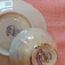 Bavaria Vintage Tea Cup and Saucer Image 10