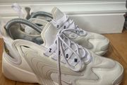 Nike Zoom 2000