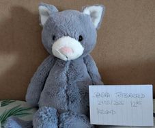 Jellycat Bashful Grey Kitten BNWT