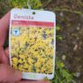 15 mature plants/shrubs Image 9