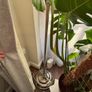 Industrial Style Concept Floor Lamp Image 3
