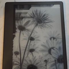 Amazon Kindle Scribe
