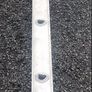 11 rung ladder 10ft long Image 2