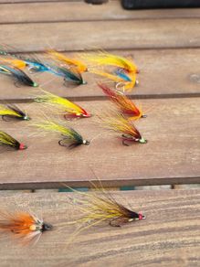 salmon flies x 27