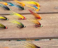 salmon flies x 27