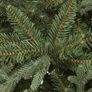 Xmas tree Image 3