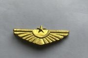 Rare North Korean Air Force Cap Badge