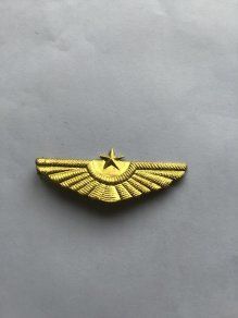 Rare North Korean Air Force Cap Badge