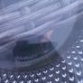 Waterford Crystal v rare John Rocha centrepiece 13.5 inch Lume bowl, no damage, D18 Image 6