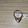 Vintage 9ct Yellow Gold Ring Set With A Natural Pearl Image 6
