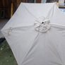 Parasol Image 4