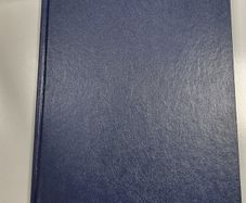 A4 Diary blue