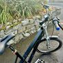 Rickshaw bicycle w/battery assist Image 4