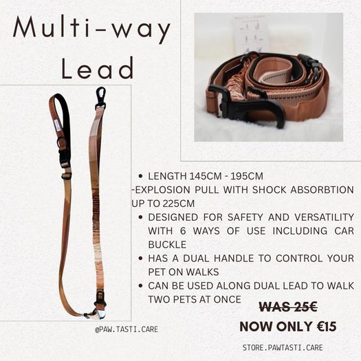 Hands Free Lead
