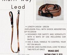 Hands Free Lead
