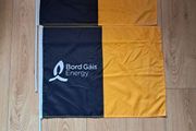 Bord Gais Kilkenny Flags