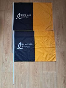 Bord Gais Kilkenny Flags