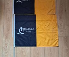 Bord Gais Kilkenny Flags