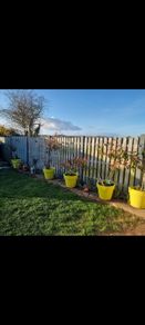 Fencing