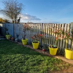Fencing