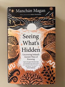 Seeing What's Hidden (Manchan Magan)
