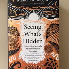 Seeing What's Hidden (Manchan Magan)