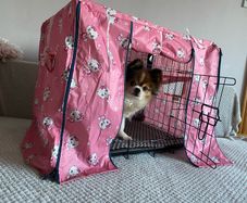 Small dog crate