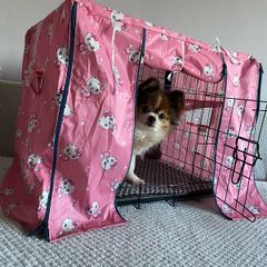 Small dog crate