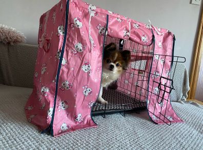 Small dog crate