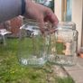 Glass jar 0,720 L Image 2