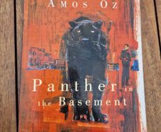 panther in the basement by amos oz