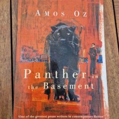 panther in the basement by amos oz